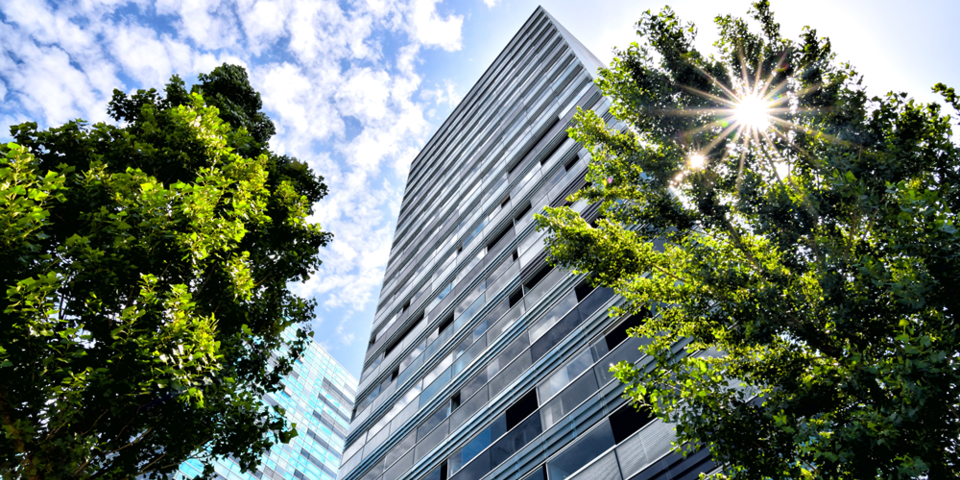 Bureau veritas resultados Q1