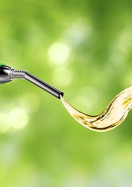 SERVICIOS DE BIOCOMBUSTIBLES