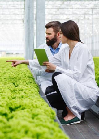 Beneficios servicios agroalimetario BV